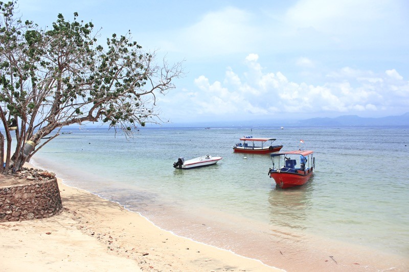 Snorkeling, diving, relax on the beach