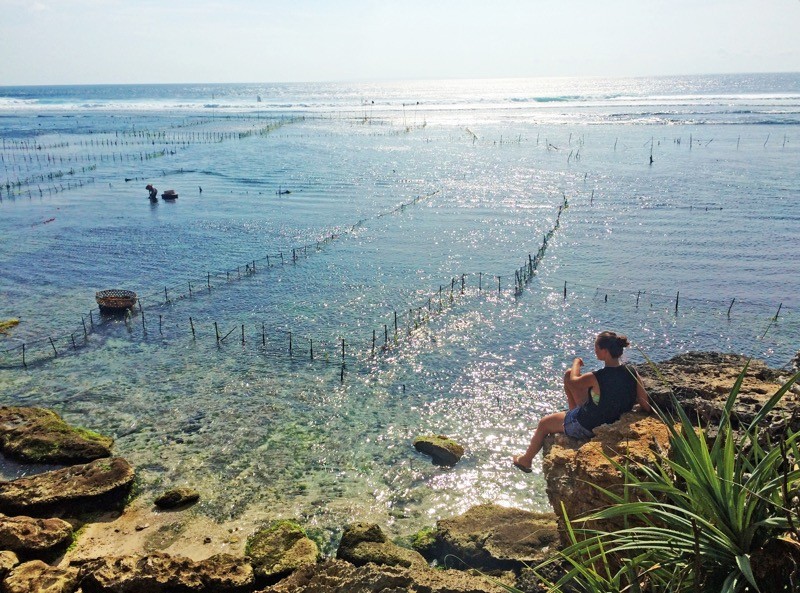 Seaweed farmers from Sunset point cliff