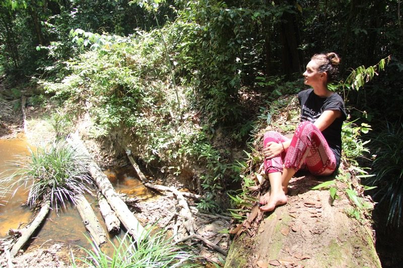 Sepilok jungle