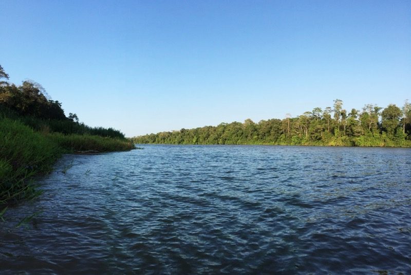 River Kinabatangan