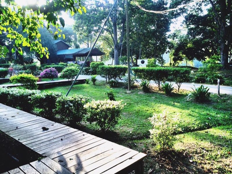 The morning in Sukau