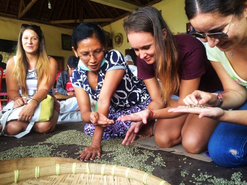 traditional production of coffee