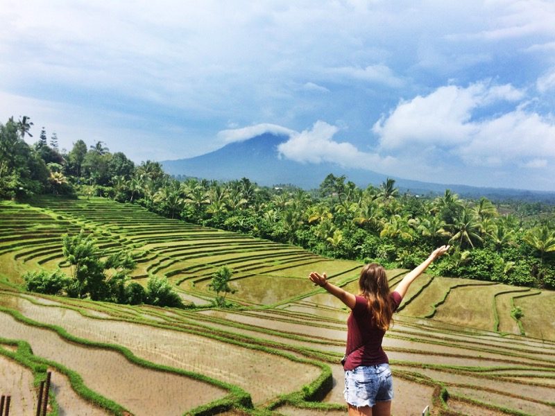 Bali rice fields Papuan