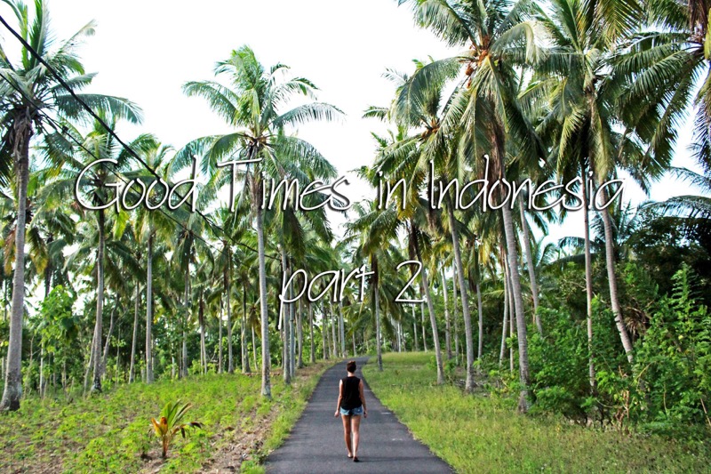 Exploring Indonesia, Canggu, Ubud, Nusa Penida, Menjangan