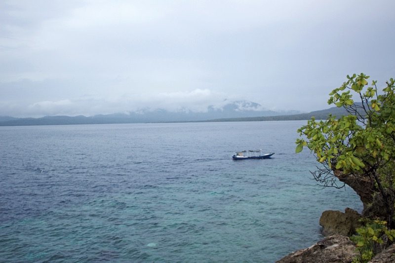 menjangan_view_java